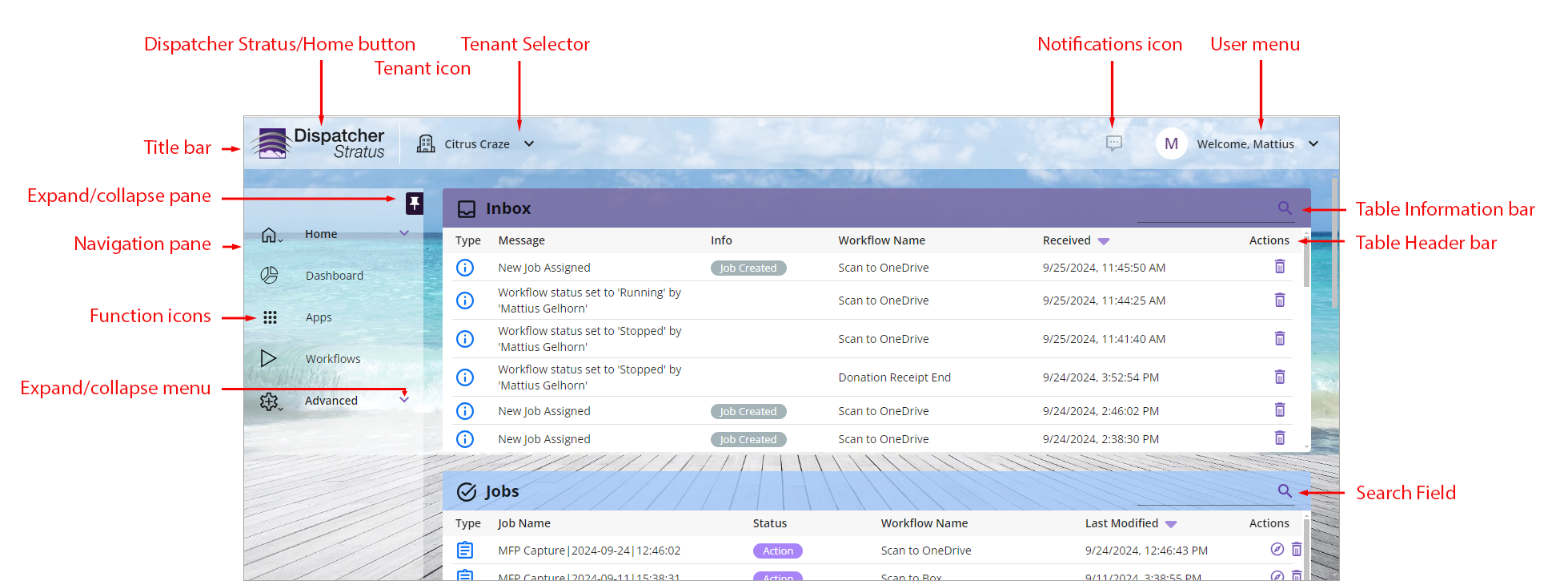 Global Page Elements