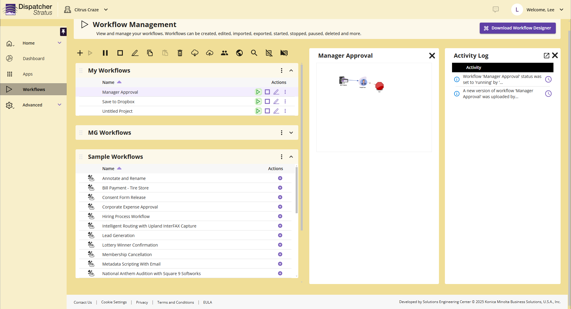 Workflow Preview